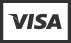 visa icon